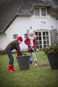 Tuinplant van de maand november Skimmia | Tuinplant | winterharde plant | Artstone | Artstone planter | Tuinieren | planten | planttips | Easy gardening | tuinblog | plantinfo