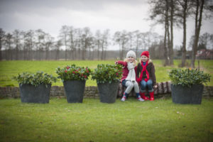 Tuinplant van de maand november Skimmia | Tuinplant | winterharde plant | Artstone | Artstone planter | Tuinieren | planten | planttips | Easy gardening | tuinblog | plantinfo