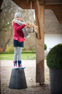 De tuin in januari | Artstone planter | tuinkalender januari | snoeien in januari | zaaien in januari | planten in januari | tuinwerk januari | Vogels in de tuin